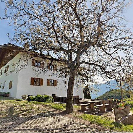 Moar Im Rumsein - Apt Etschblick San Genesio Atesino Bagian luar foto